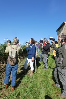 Sortie botanique et découverte des chants d'oiseaux à Vauban